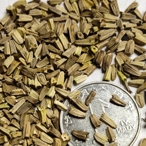 Echinacea Purpurea & Echinacea Seeds