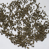 Echium-Vulgare-Seeds