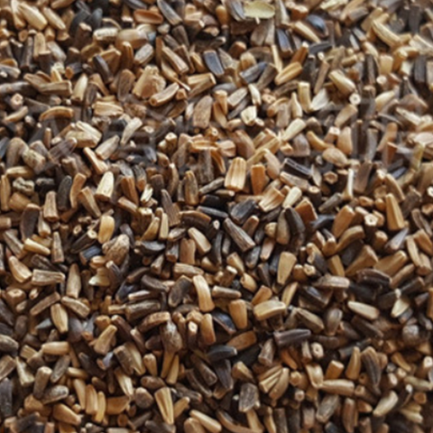 Chjcory & Endive Seeds