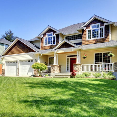 Eremochloa-ophiuroides-Centipedegrass-Seeds