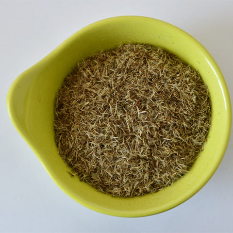 Erigeron-Acer-Bitter-Fleabane-Seeds