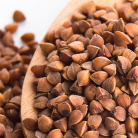 Fagopyrum Esculentum & Buckwheat Flower Seeds