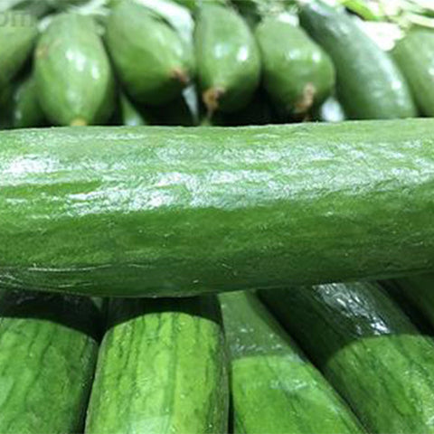 Fruits-Cucumber-Seeds