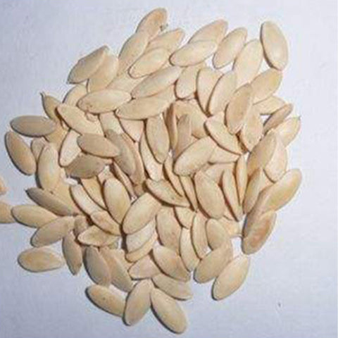 Fruits-Cucumber-Seeds