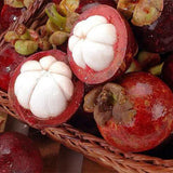Garcinia-mangostana-Mangosteen-Seeds
