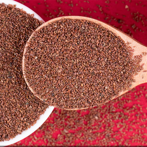 Gentiana macrophylla & Large leaf gentian Seeds