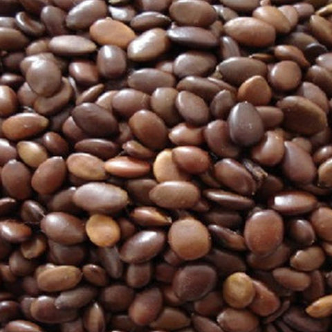 Gleditsia sinensis & Chinese honey locust seeds