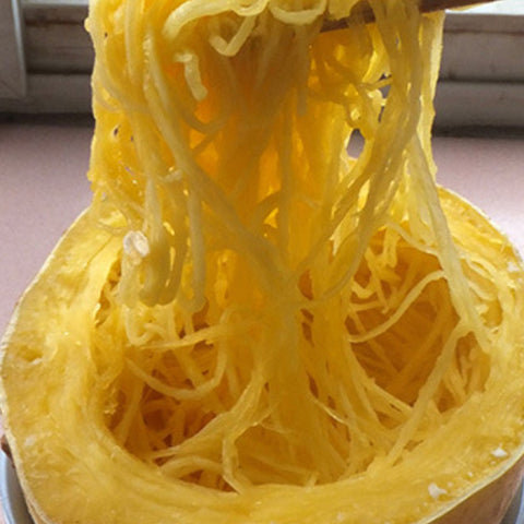 Golden Gourd & Golden Melon Seeds