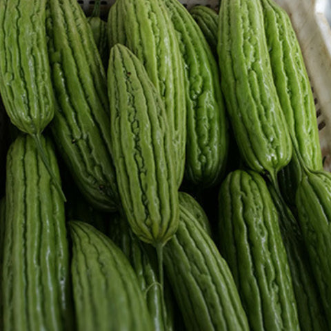 Green Bitter Gourd Seeds