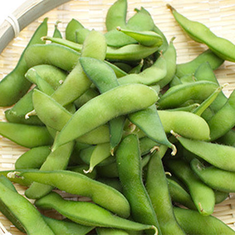 Green-Soy-Bean-Seeds