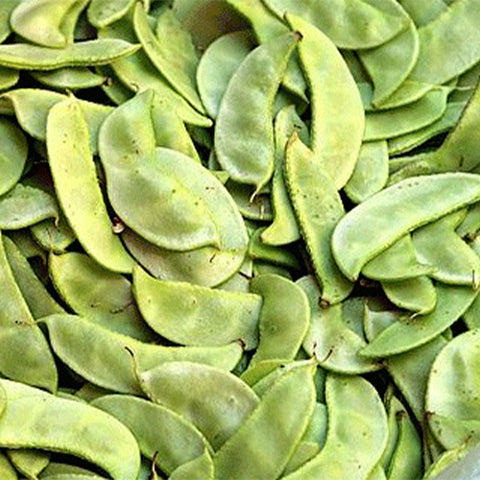 Green-Soy-Bean-Seeds