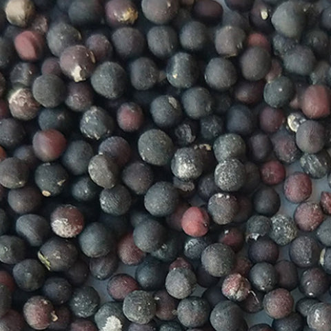 Gypsophila Paniculata & Baby's Breath Seeds