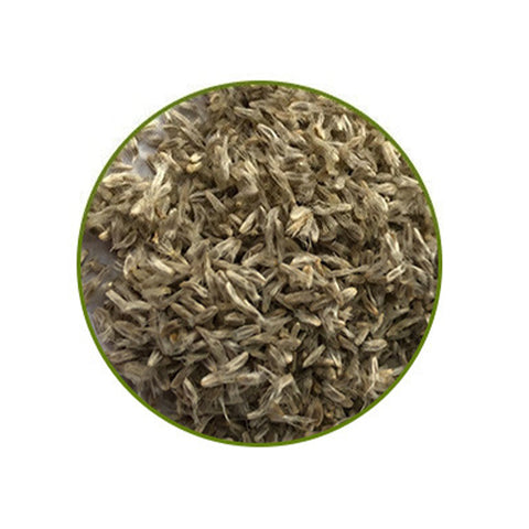 Helipterum-Manglesii-Pink-Sunray-Seeds