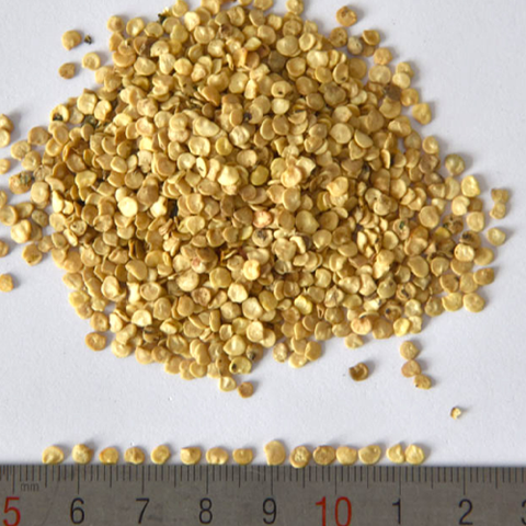 Hybrid-F1-Red-Pepper-Hot-Chilli-Seeds