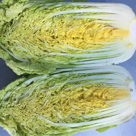 Hybrid-F1-Baby-Chinese-Cabbage-Seeds
