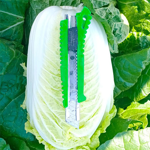 Hybrid-F1-Baby-Chinese-Cabbage-Seeds