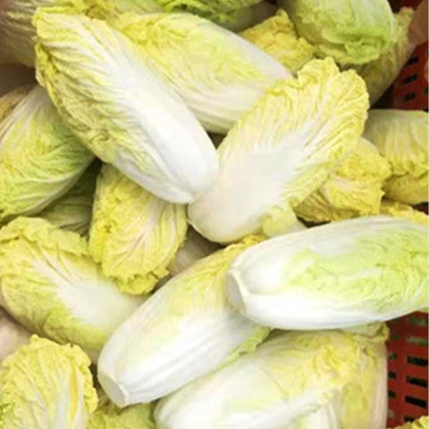 Hybrid-F1-Baby-Chinese-Cabbage-Seeds