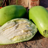 Hybrid-F1-Green-Oval-Eggplant-Aubergine-Seeds