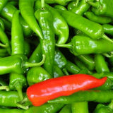 Hybrid-F1-Green-Ox-Horn-Pepper-Chilli-Seeds