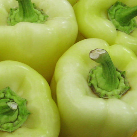 Hybrid F1 Green Sweet Bell Pepper & Chilli Seeds