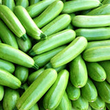 Hybrid F1 Green Zucchini Seeds