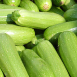 Hybrid F1 Green Zucchini Seeds