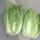 Hybrid-F1-Heat-Resistance-King-Chinese-Cabbage-Seeds