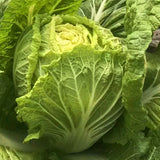 Hybrid-F1-Heat-Resistance-King-Chinese-Cabbage-Seeds