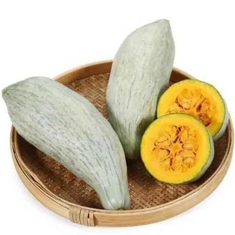 Hybrid-F1-Pumpkin-Squash-Seeds