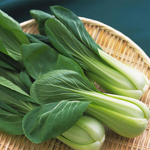 Hybrid-F1-Rape-Cole-Seeds