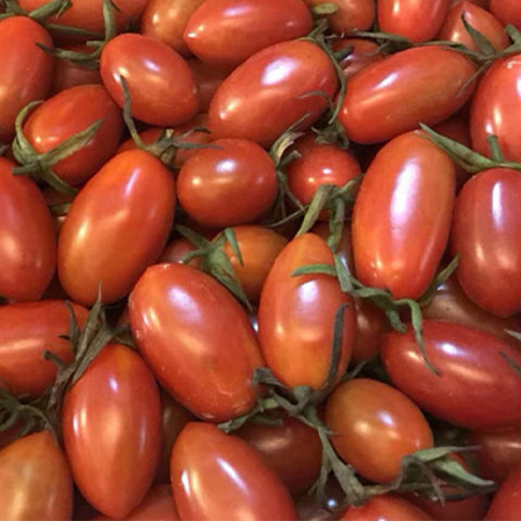 Hybrid F1 Red Cherry Tomato Seeds