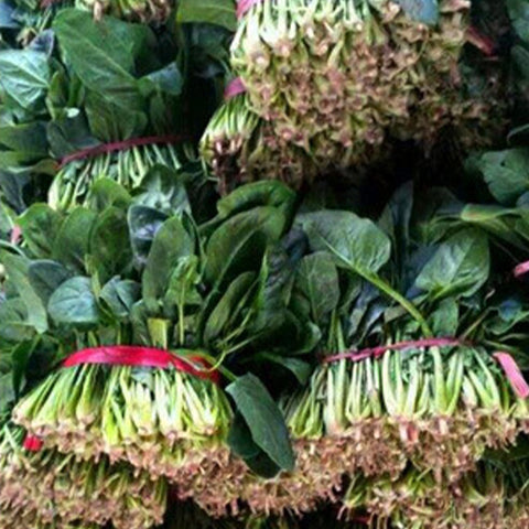 Hybrid-F1-Spinach-Seeds