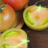 Hybrid F1 Strawberry tomato seeds