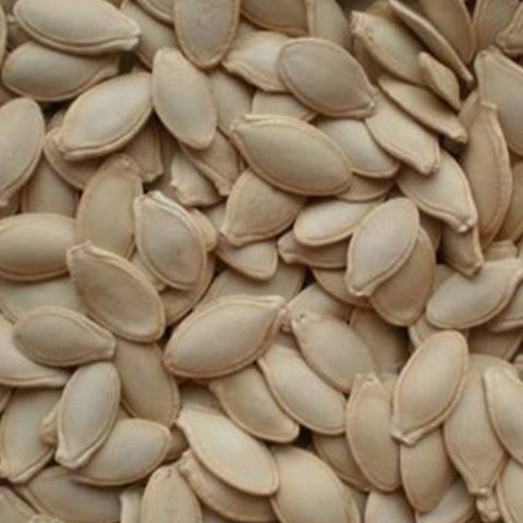 Hybrid F1 Yellow Zucchini Seeds