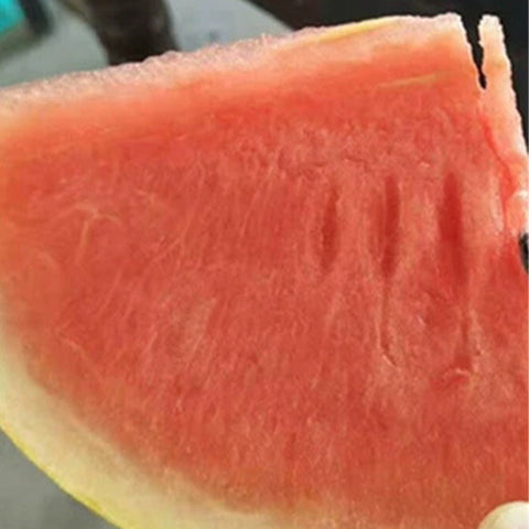 Hybrid-F1-Yellow-skin-red-flesh-Watermelon-Seeds