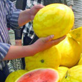Hybrid-F1-Yellow-skin-red-flesh-Watermelon-Seeds