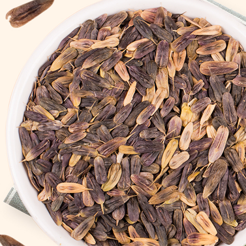 Isatis indigotica Seeds