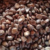 Kadsura coccinea & Black tiger Seeds