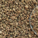 Kochia Scoparia & Bassia Scoparia Seeds