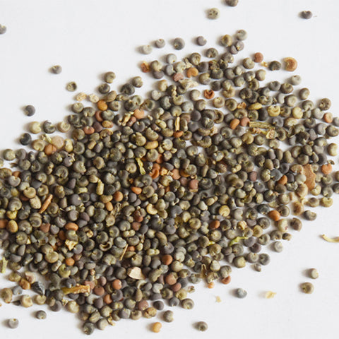 Lavatera-Arborea-Tree-Mallow-Seeds