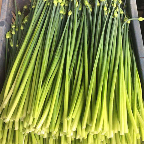 Leek-Moss-Seeds