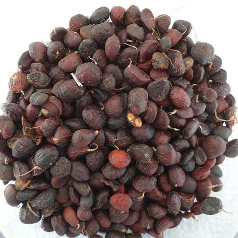 Magnolia grandiflora & Southern magnolia seeds