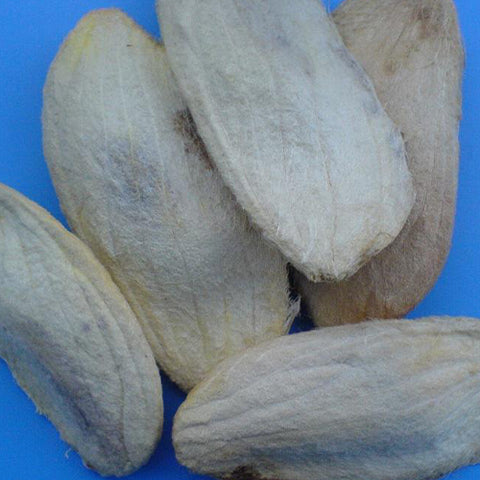 Mangifera indica & Mango Seeds