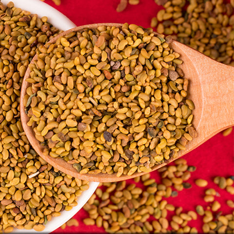 Medicago sativa & Alfalfa Seeds