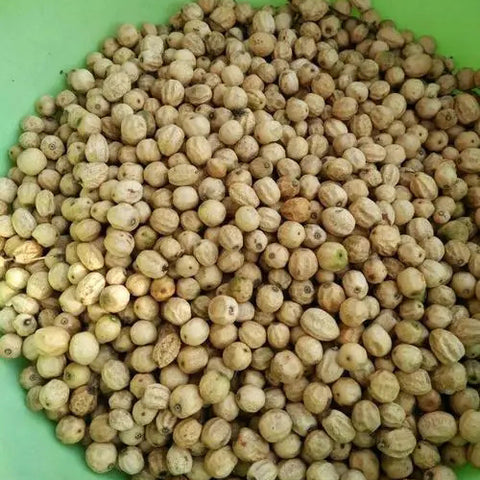 Melia-azedarach-Chinaberry-tree-Seeds