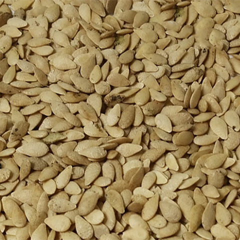 Melothria-scabra-Cucamelon-Seeds