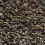 Mentha-Spicata-Spearmint-Seeds