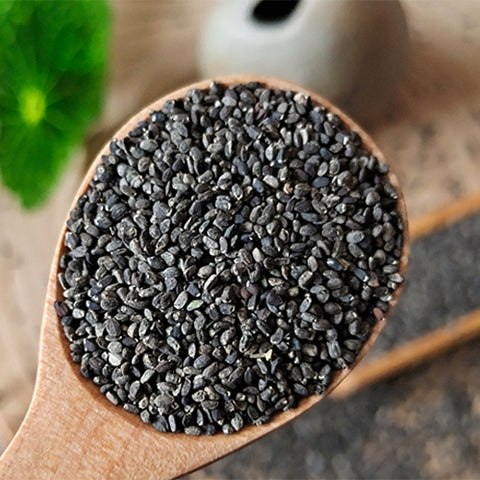 Mentha-haplocalyx-Menthae-Haplocalycis-Seeds