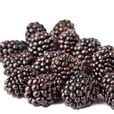 Morus-alba-Common-mulberry-Seeds