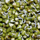 Mung-Bean-Green-Gram-Seeds